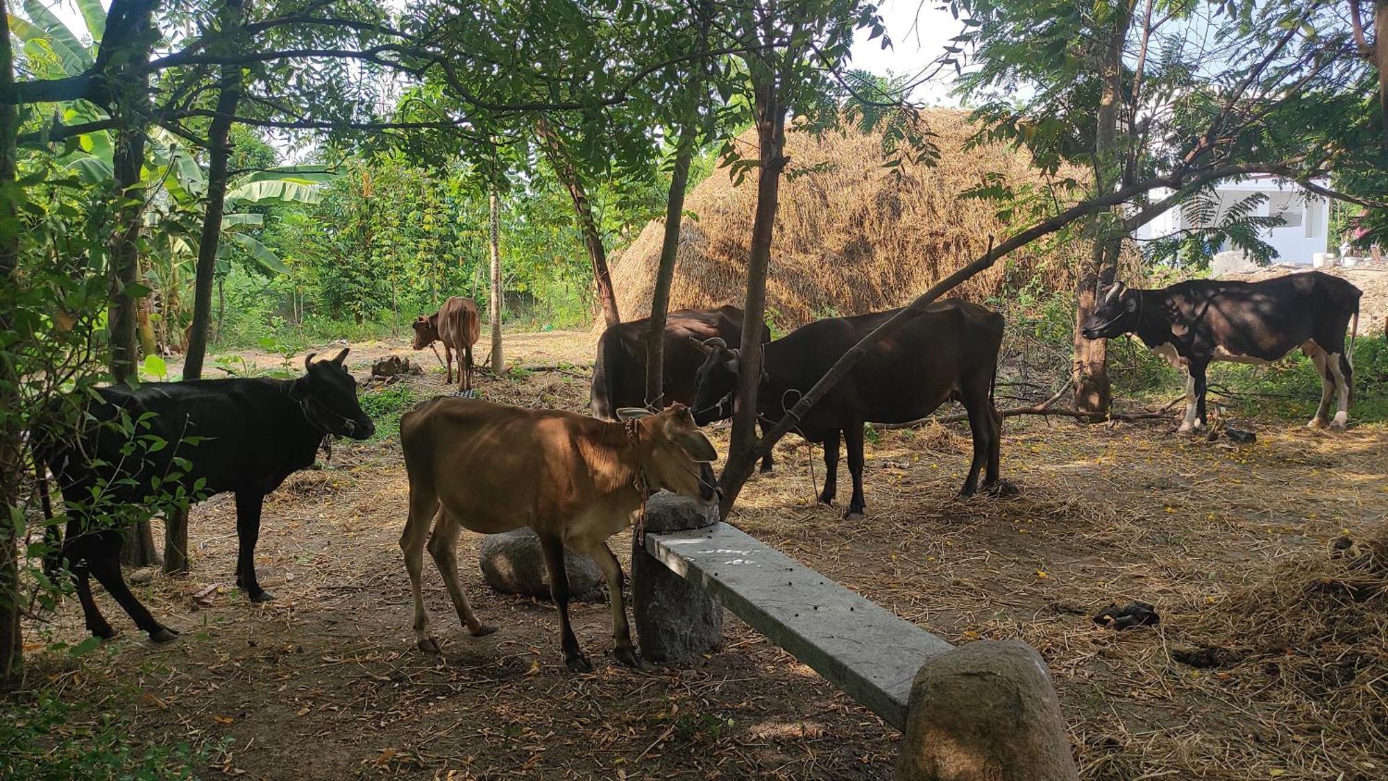 Vaksana Farm Stay Gudraippattu Bagian luar foto