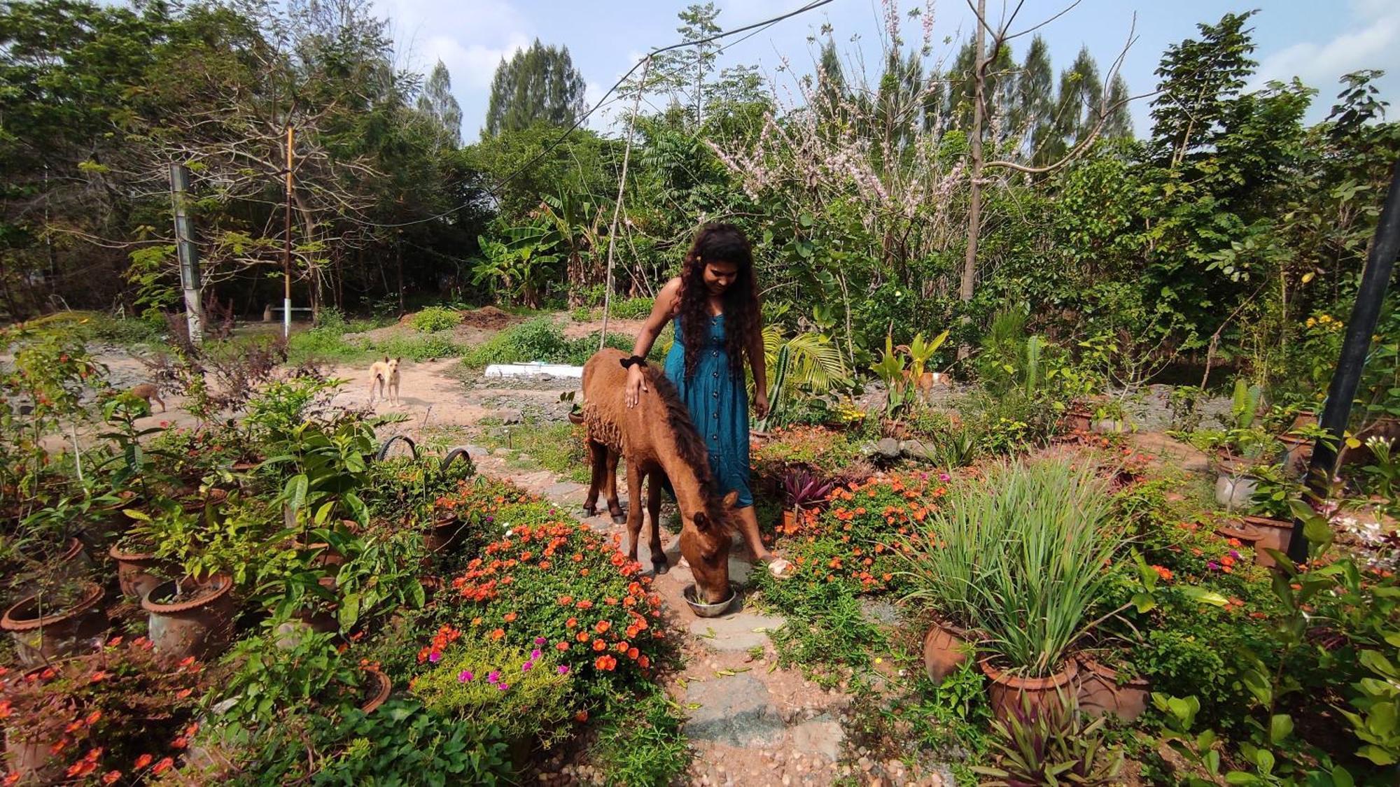 Vaksana Farm Stay Gudraippattu Bagian luar foto