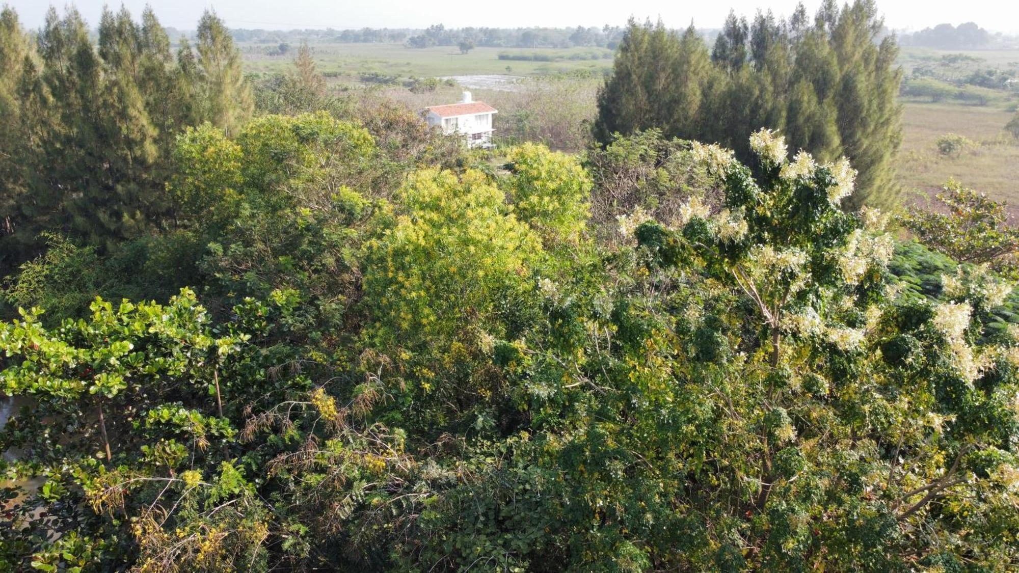 Vaksana Farm Stay Gudraippattu Bagian luar foto